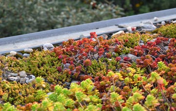 the cost of Molesworth green roof installation
