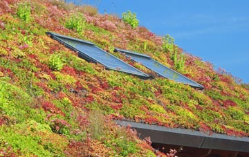 Molesworth living roof systems