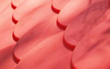 Molesworth plastic roof costs